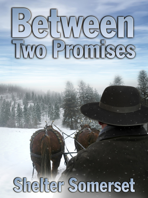 Title details for Between Two Promises by Shelter Somerset - Available